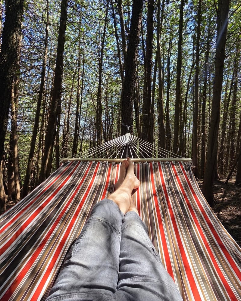 Hammock Hangout